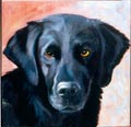 Roscoe - Black Lab - Oil on Canvas